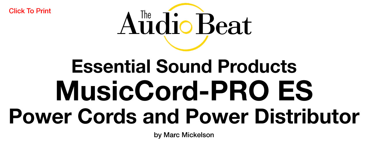 MusicCord-PRO ES Review - The Audio Beat